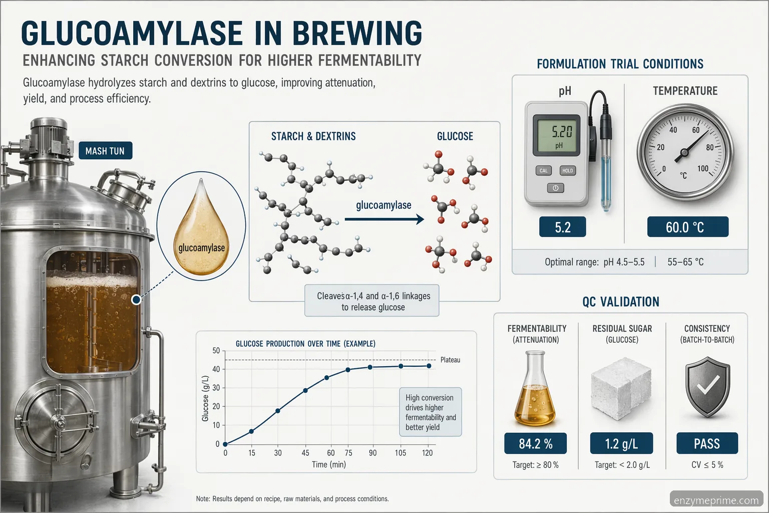 glucoamylase enzyme brewing formulation guide showing starch-to-glucose conversion, dosing points, and QC checks